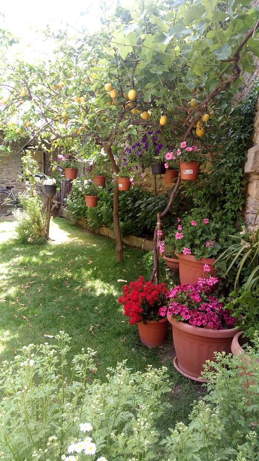 B&B Teresina Villasalto Exterior photo